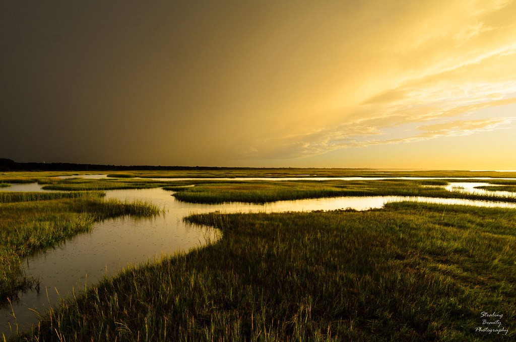 Bass Hole, Cape Cod, by Spike